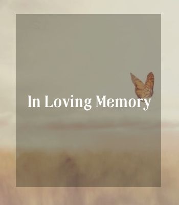 Tammy&nbsp;Scott Obituary