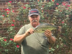 Joe&nbsp;Walter&nbsp;Shotwell